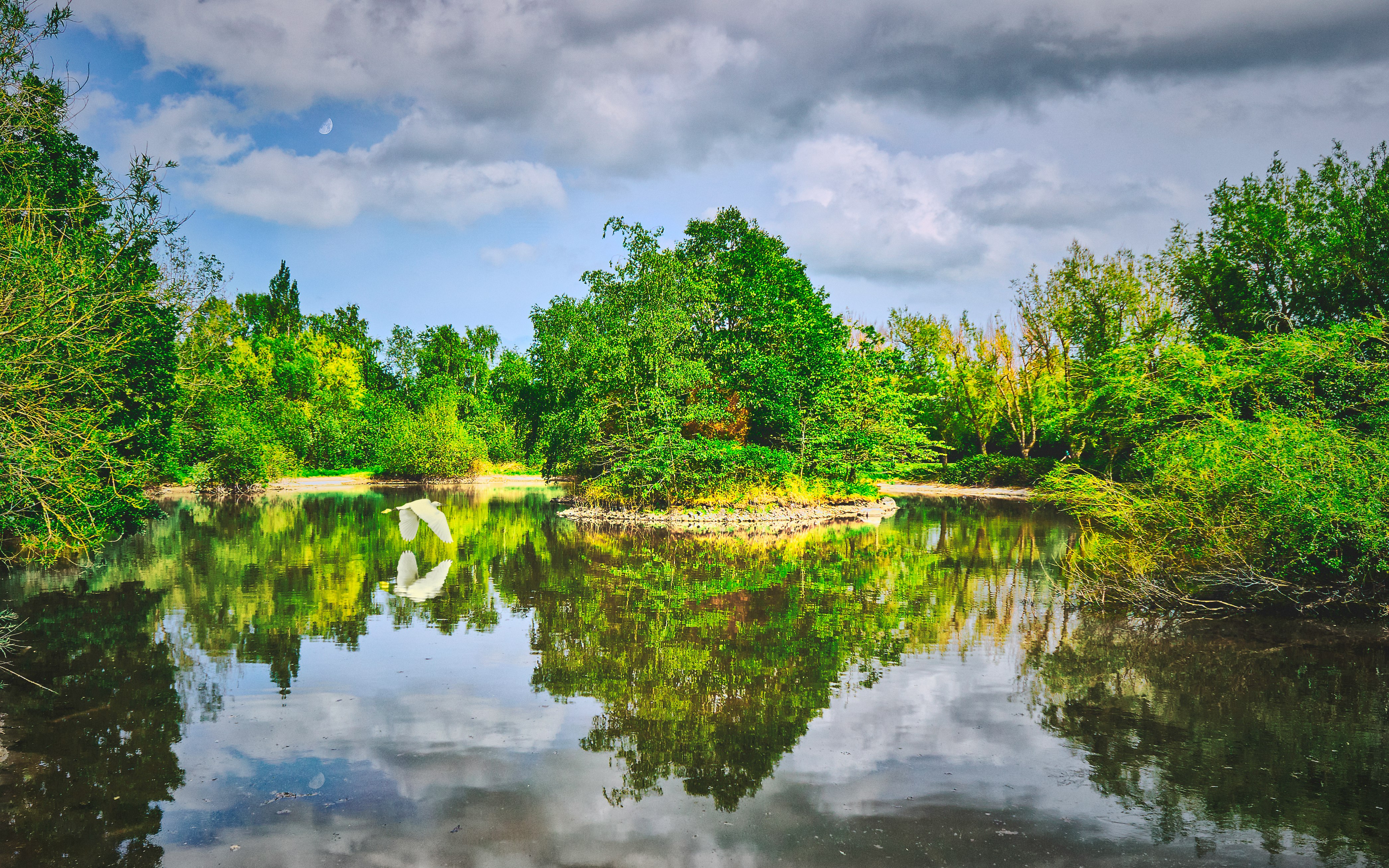 green trees beside river under blue sky during daytime